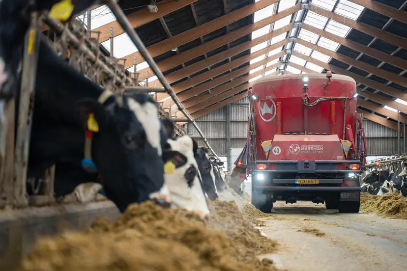 Software voor boeren: waarom digitaal voerbeheer steeds vaker nodig is